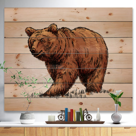 Color engrave isolated grizzly bear - Animals Painting Print on Natural Pine Wood