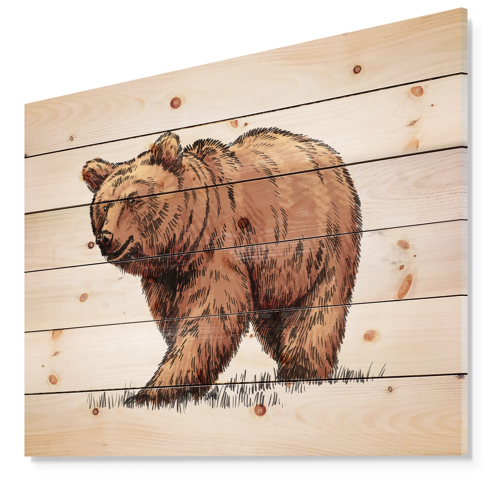 Color engrave isolated grizzly bear - Animals Painting Print on Natural Pine Wood