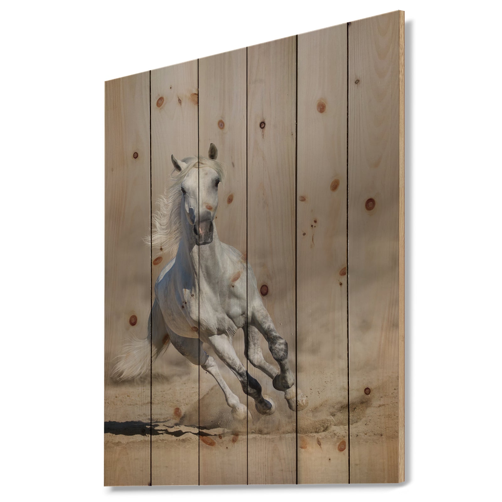 Grey arabian horse run in dust - Animals photographyPrint Print on Natural Pine Wood
