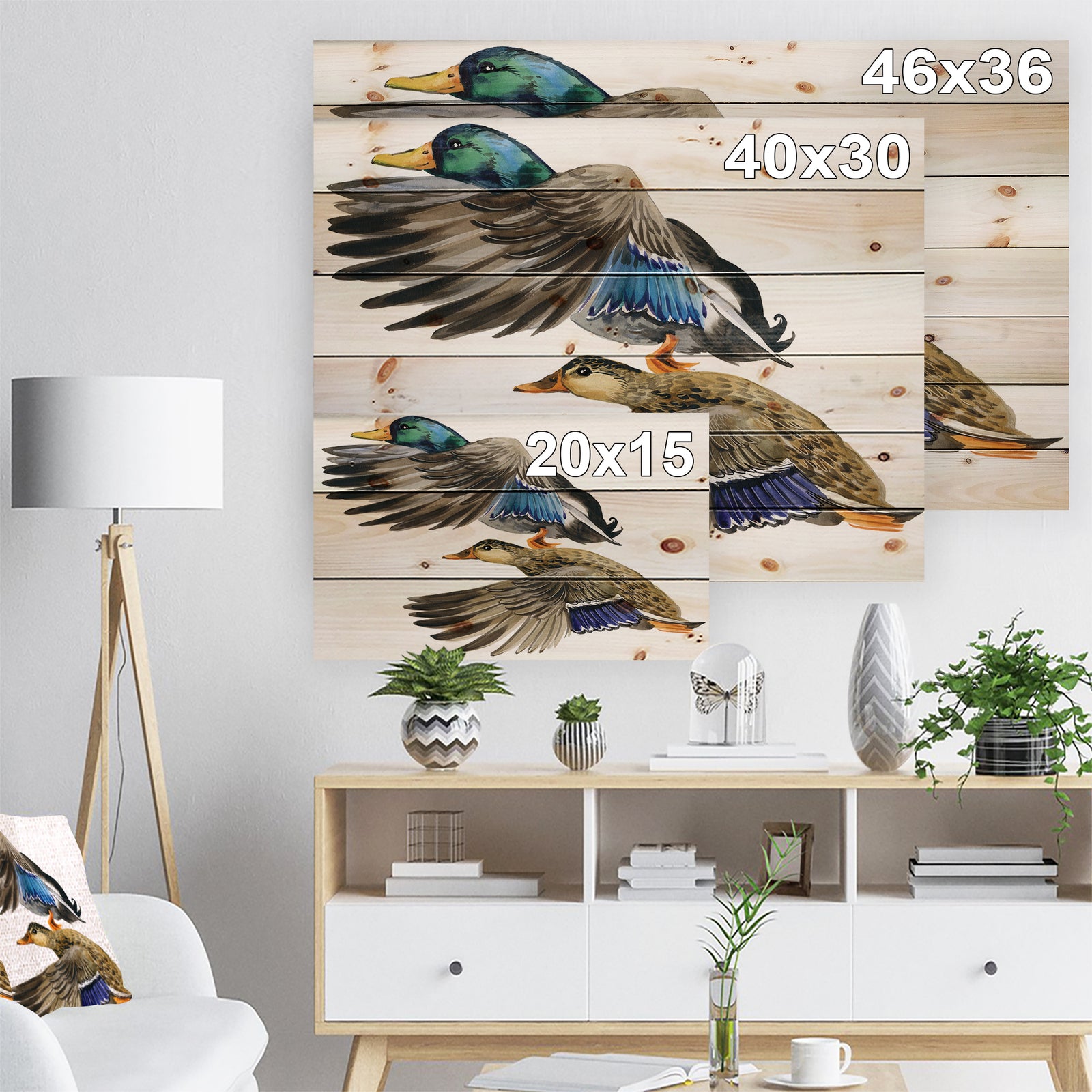 Colored Duck isolated on white background - Sketch of Farmhouse Animals of Painting Print on Natural Pine Wood