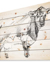 Handdrawn Dairy cow - Sketch of Farmhouse Animals of Painting Print on Natural Pine Wood