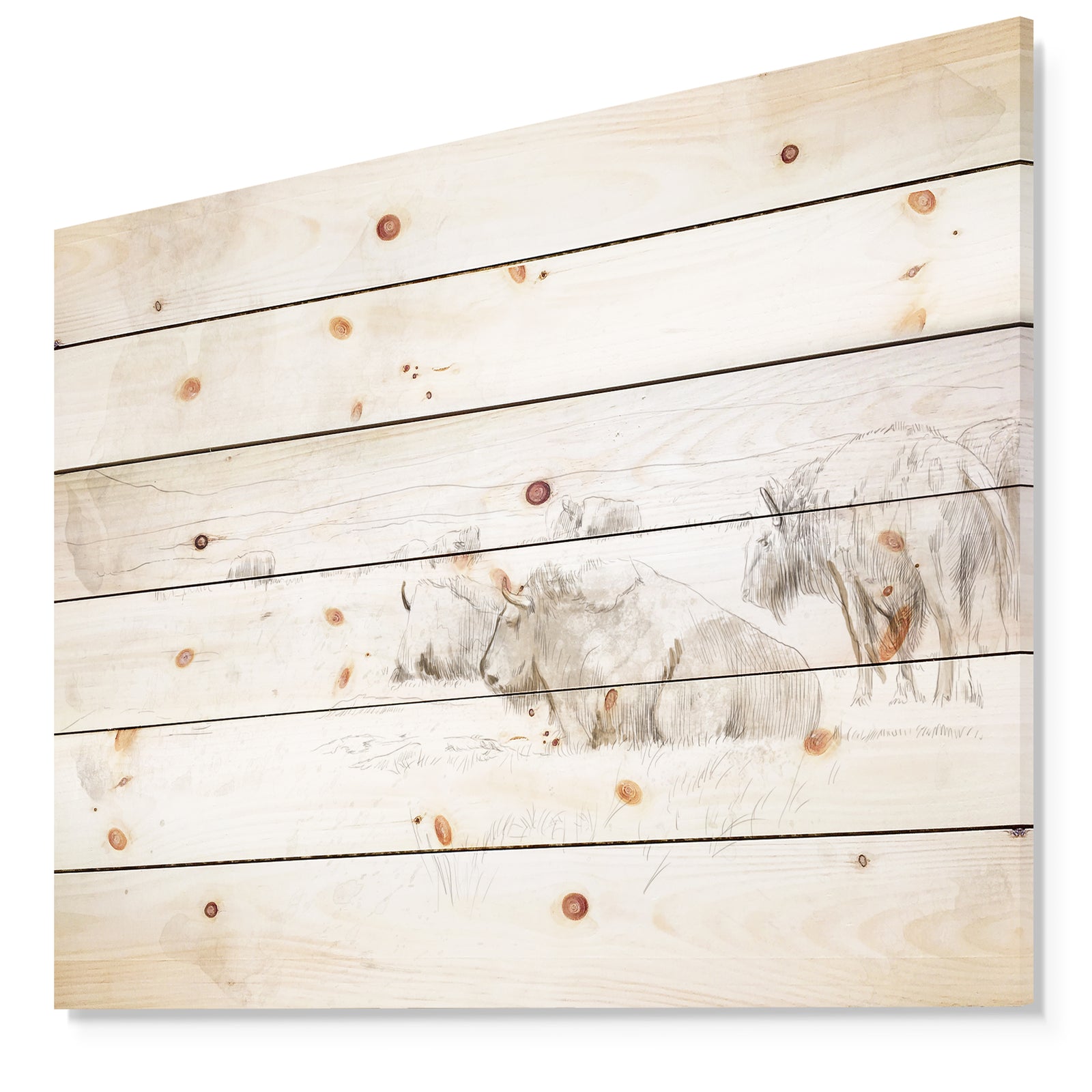 Wild Bison Buffalo Sketch - Farmhouse Animal Painting Print on Natural Pine Wood
