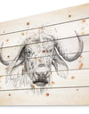 Pencil Bufallo Sketch in Black and White - Animals Painting Print on Natural Pine Wood