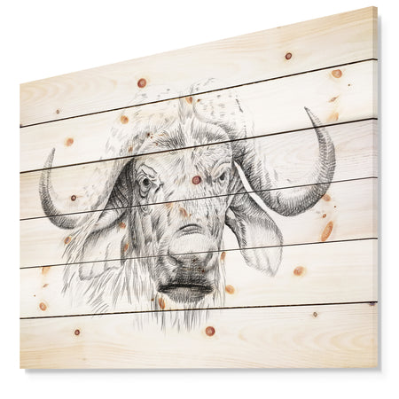 Pencil Bufallo Sketch in Black and White - Animals Painting Print on Natural Pine Wood