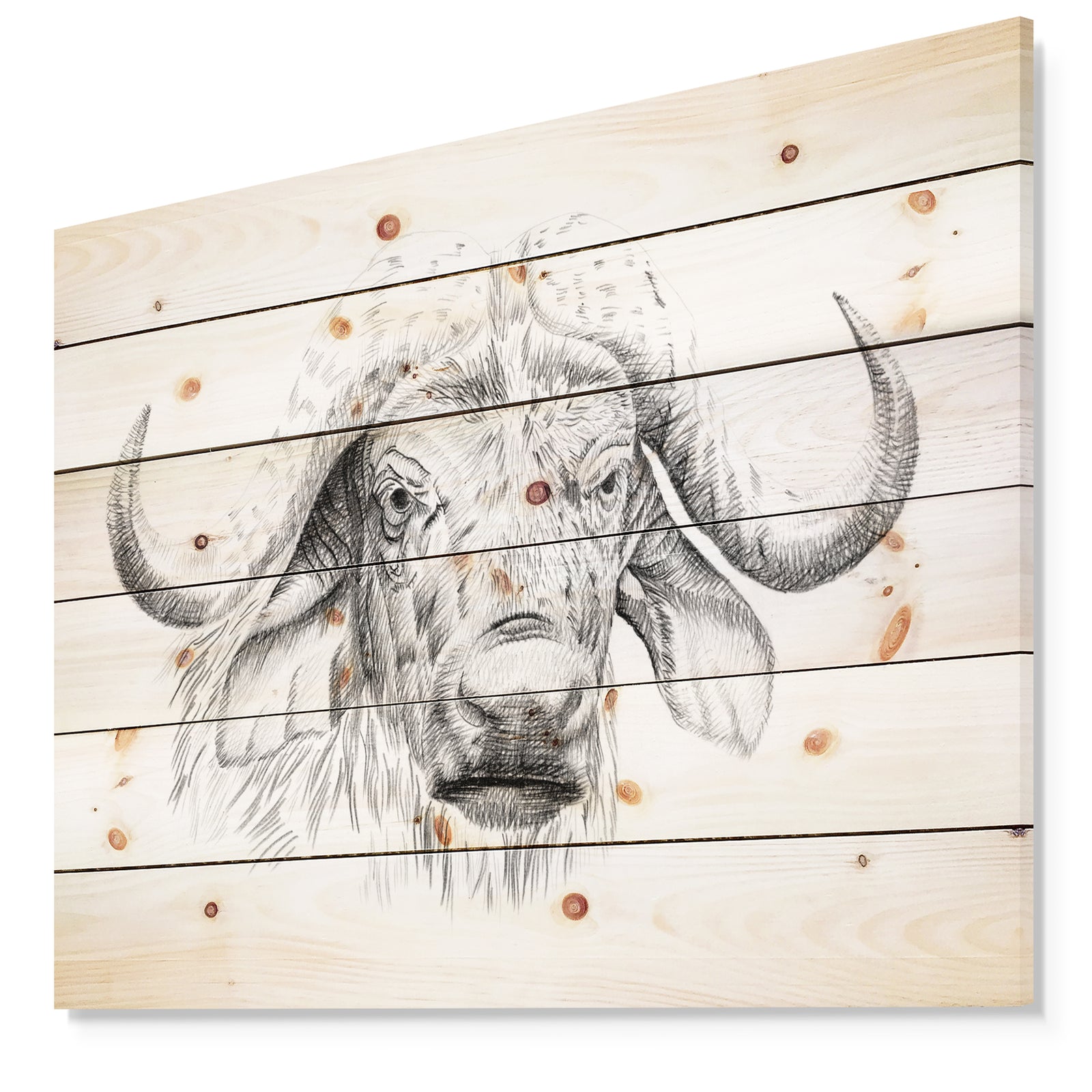 Pencil Bufallo Sketch in Black and White - Animals Painting Print on Natural Pine Wood