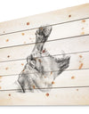 Pencil hippo Sketch in Black and White - Animals Painting Print on Natural Pine Wood