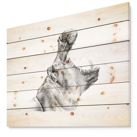 Pencil hippo Sketch in Black and White - Animals Painting Print on Natural Pine Wood