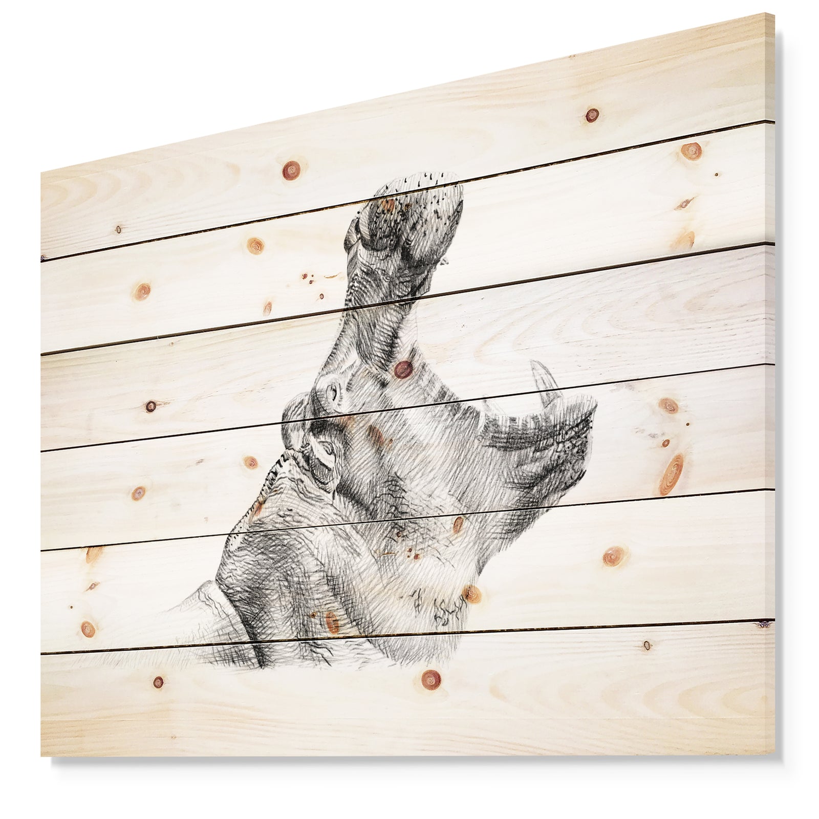 Pencil hippo Sketch in Black and White - Animals Painting Print on Natural Pine Wood