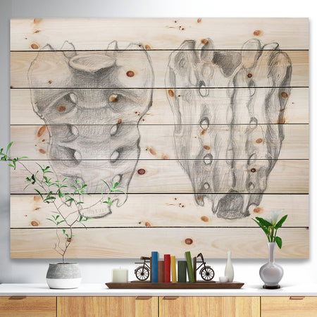 Sacral bone double View - Bones Painting Print on Natural Pine Wood