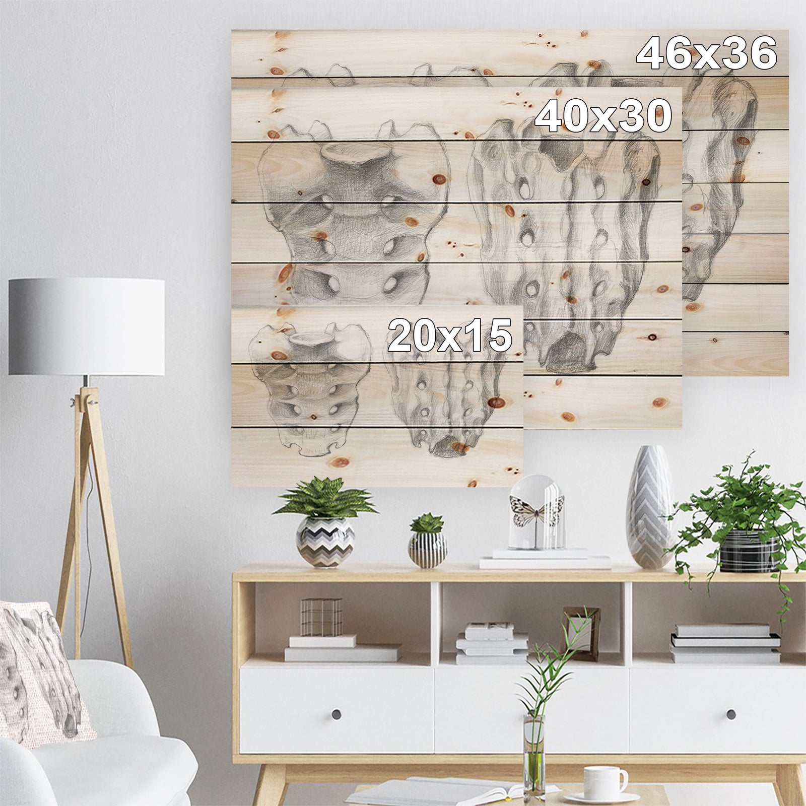 Sacral bone double View - Bones Painting Print on Natural Pine Wood