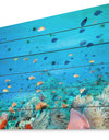 Colony of Maldives anemone fish - Sea & Shore Nautical Print on Natural Pine Wood