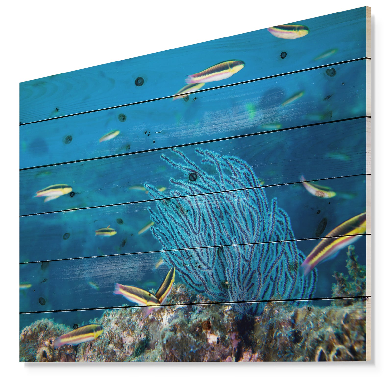 Gorgonia coral on the deep blue ocean - Sea & Shore Nautical Print on Natural Pine Wood