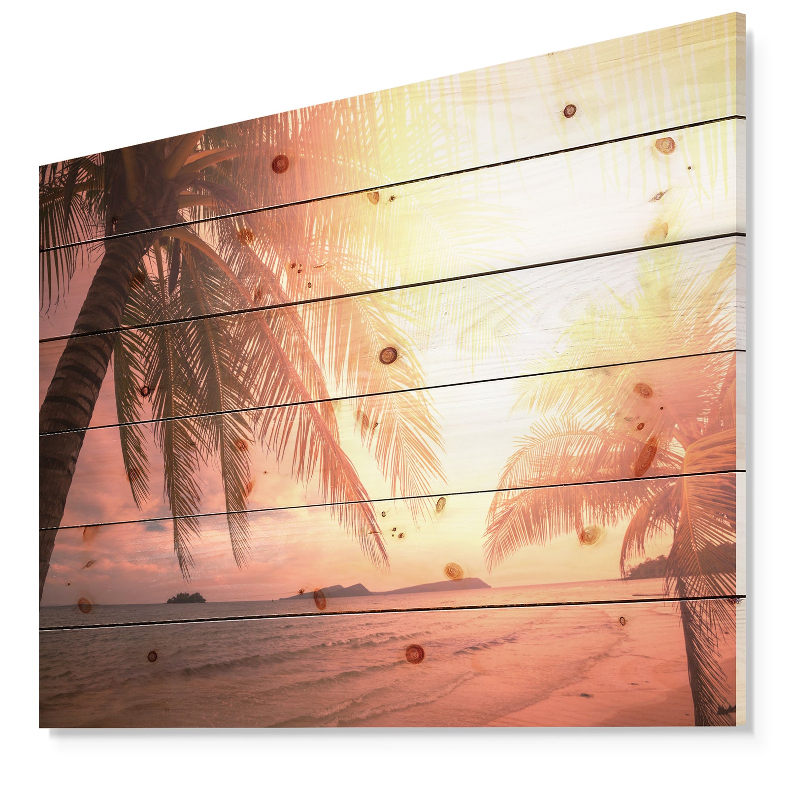 Coconut in Golden Sunset - Landscapes Sea & Shore Photographic Print on Natural Pine Wood