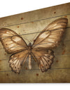 Vintage Butterfly - Vintage Painting Print on Natural Pine Wood