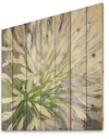 Flower Cleome Splash II - Traditional Floral Print on Natural Pine Wood