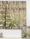 Flower Cleome Splash II - Traditional Floral Print on Natural Pine Wood