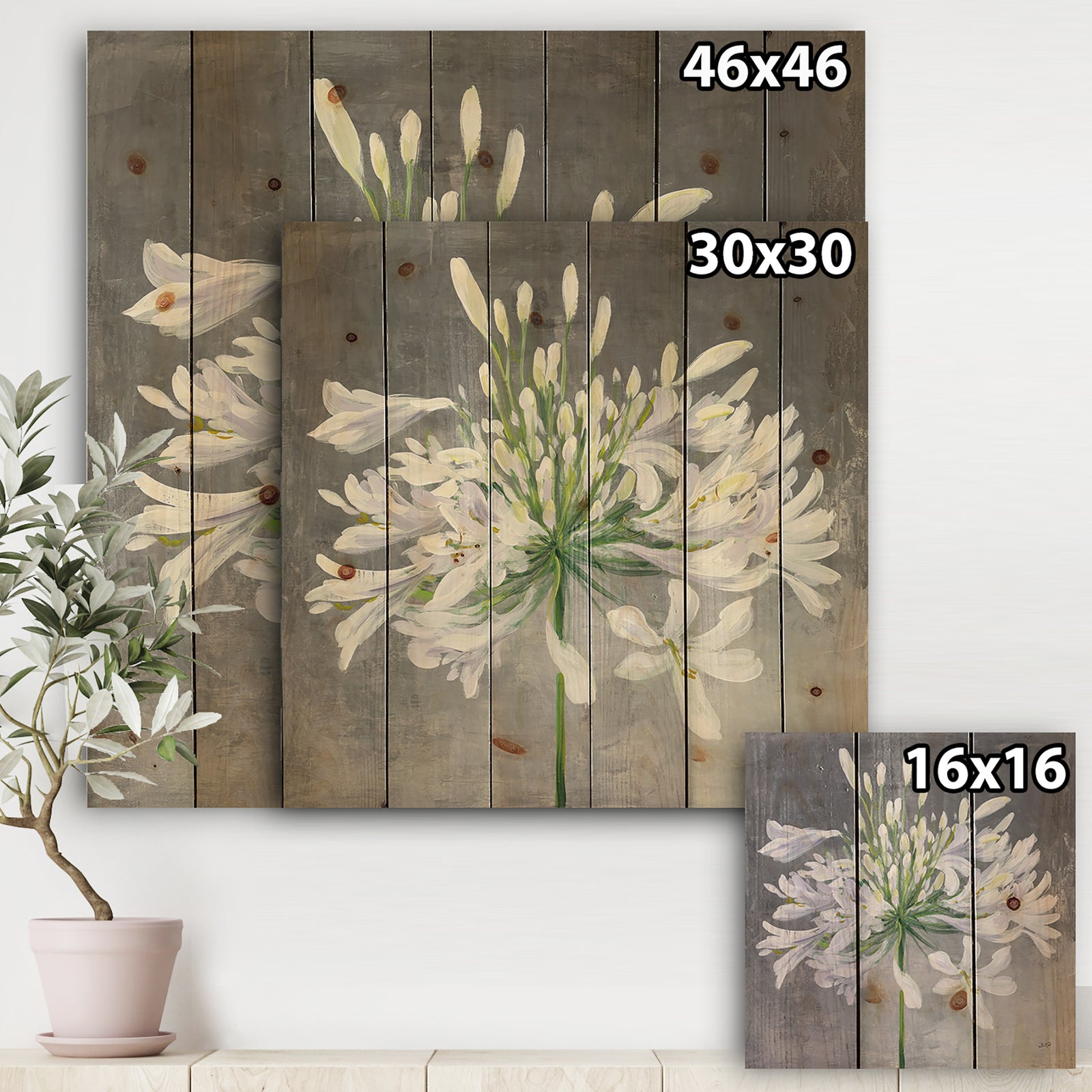 Flower Cleome Splash I - Traditional Floral Print on Natural Pine Wood