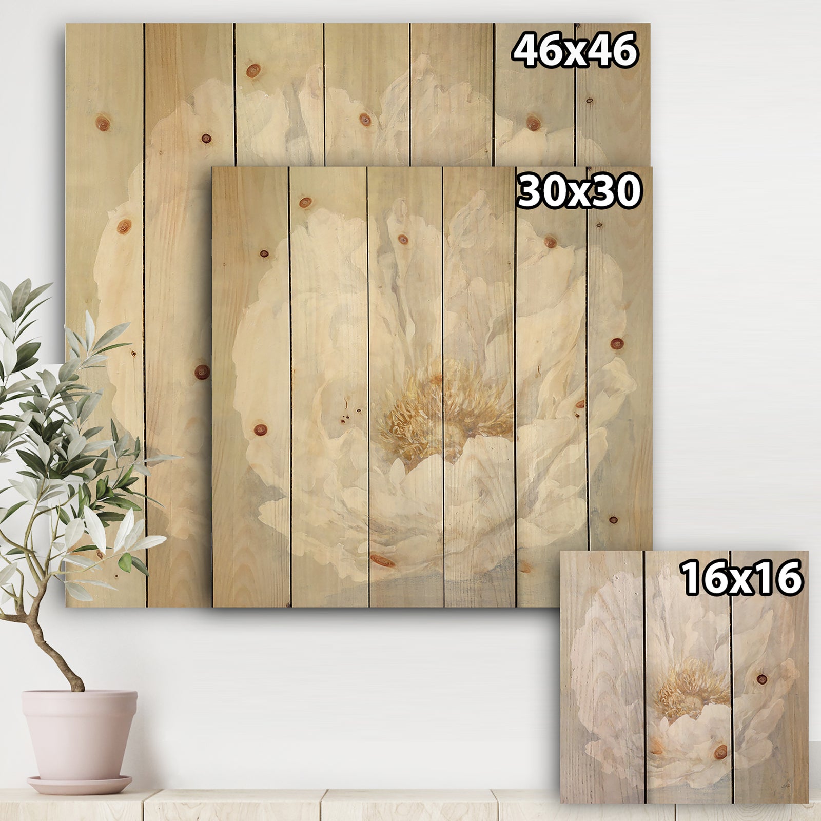 White Serene Peony - Cottage Print on Natural Pine Wood