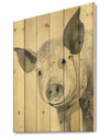 Piglet Farmhouse Animal in Black and White - Farmhouse Animals Print on Natural Pine Wood