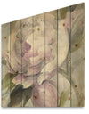 Twilight Peony - Shabby Chic Print on Natural Pine Wood