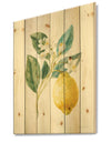 Floursack Lemon I - Cabin & Lodge Print on Natural Pine Wood