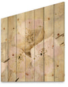 Elegance III Pink - Shabby Chic Print on Natural Pine Wood