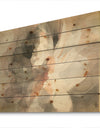 Abstract Peony Grey - Pink Modern Print on Natural Pine Wood