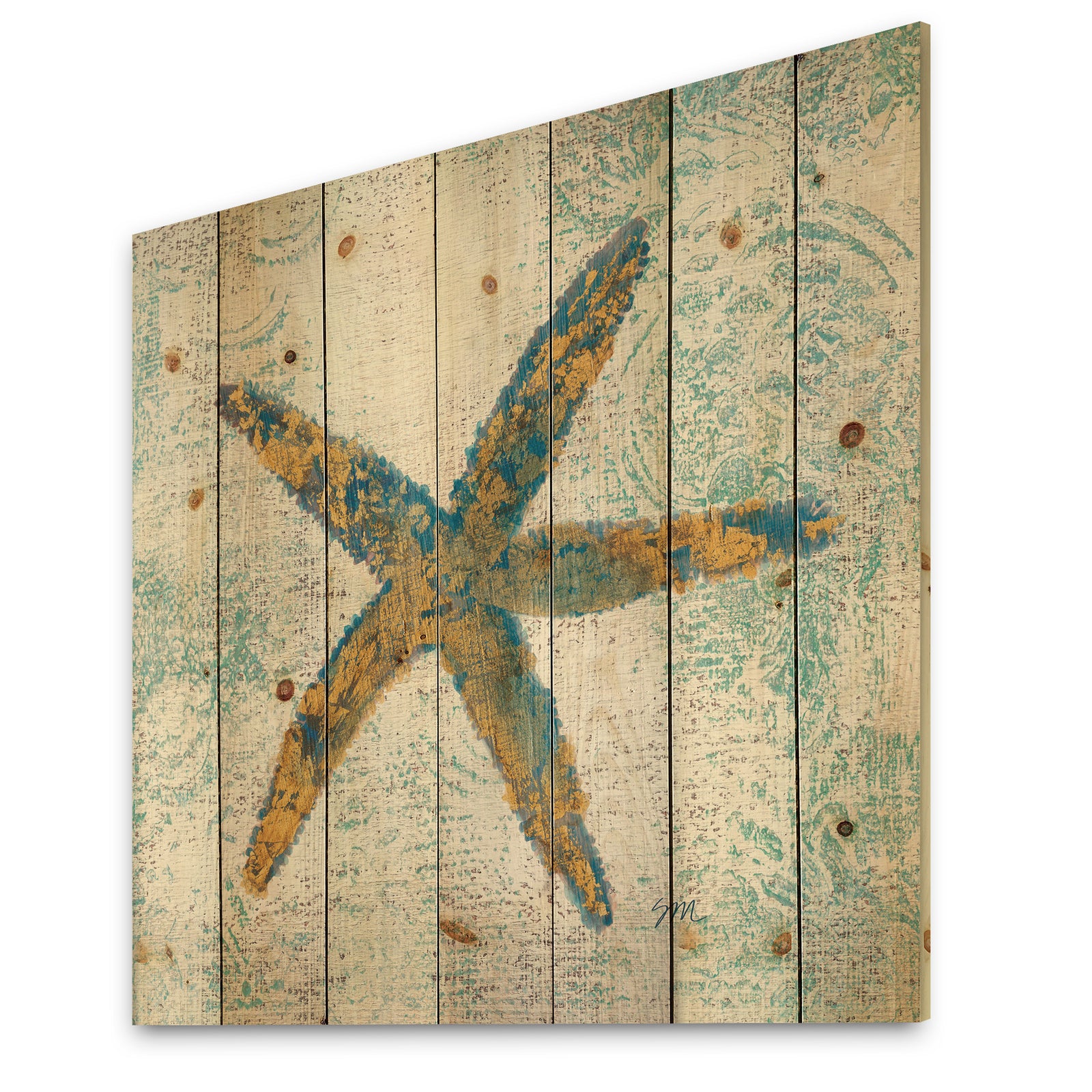 Coastal Pastel seashells III - Vintage Nautical Print on Natural Pine Wood