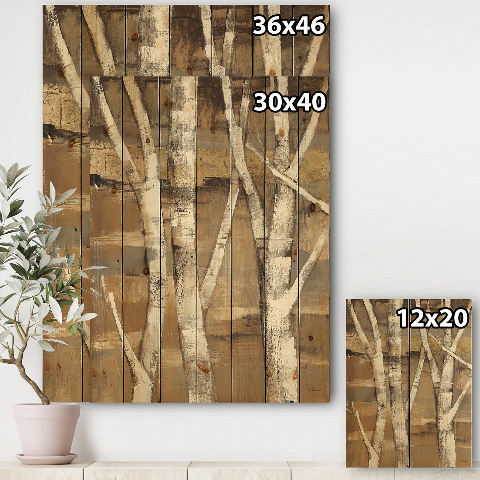 Natural Birch Forest II - Traditional Print on Natural Pine Wood