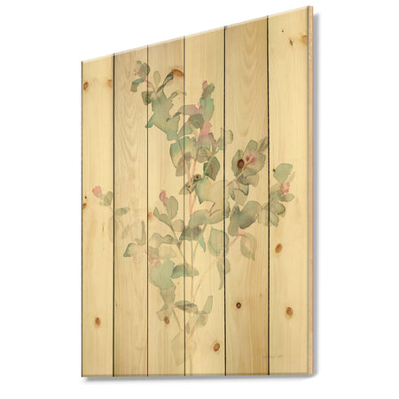 Eucalyptus leaves II - Farmhouse Print on Natural Pine Wood