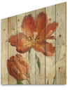 Orange Parrot Tuplip - Traditional Print on Natural Pine Wood