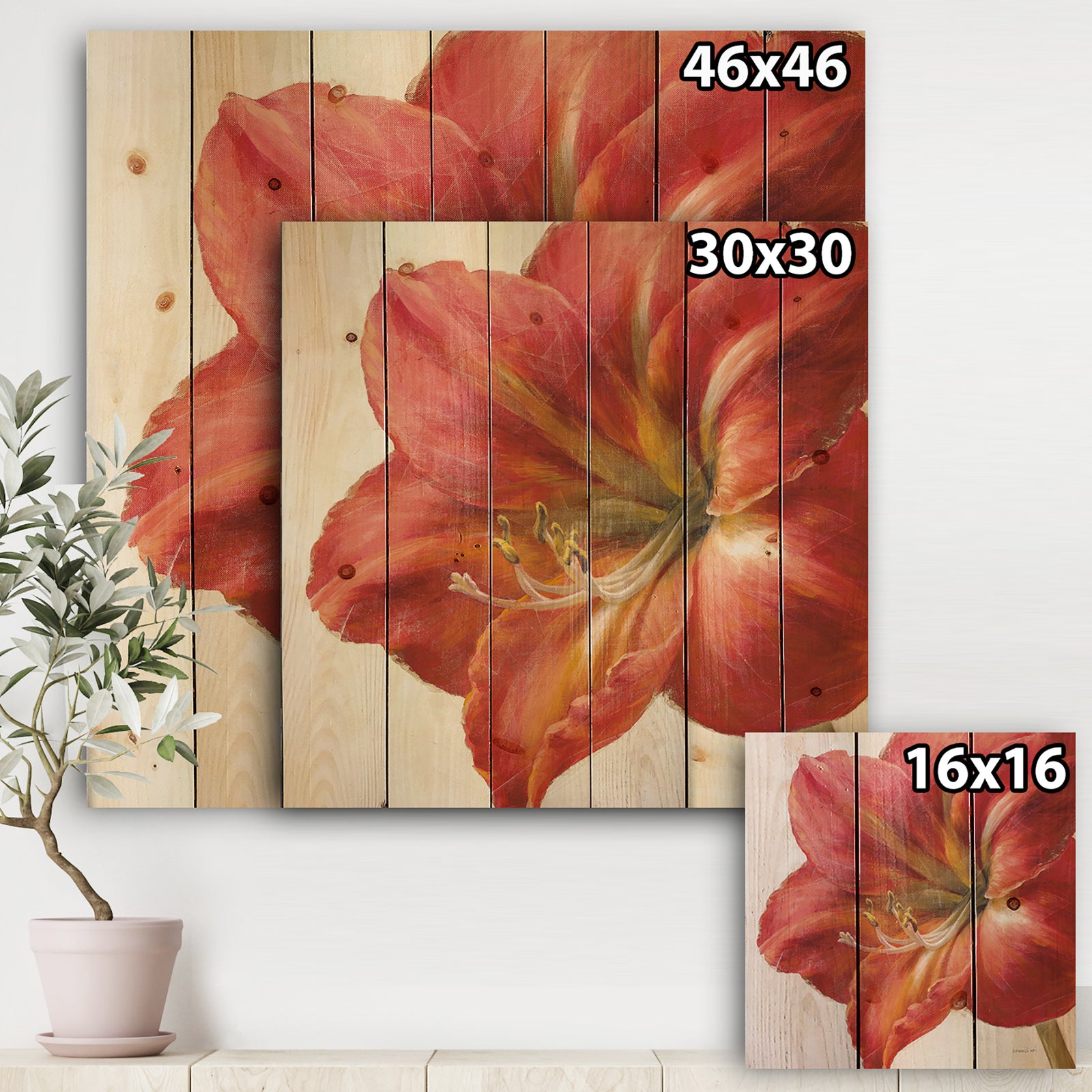 Vivid Red Amaryllis - Floral & Botanical Print on Natural Pine Wood