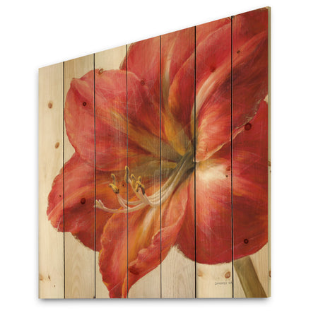 Vivid Red Amaryllis - Floral & Botanical Print on Natural Pine Wood