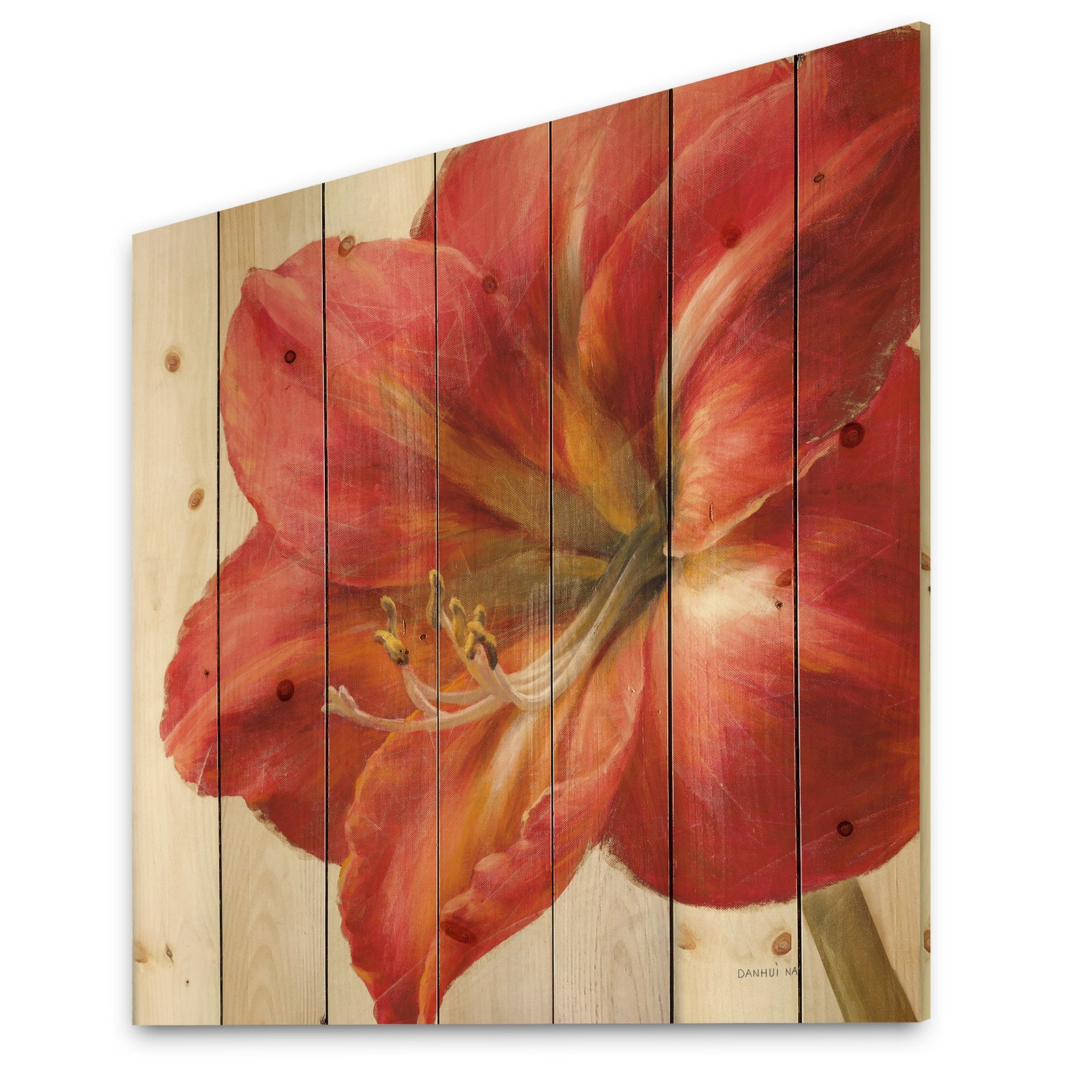 Vivid Red Amaryllis - Floral & Botanical Print on Natural Pine Wood