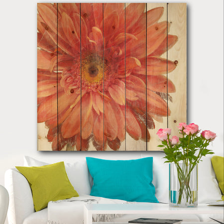 Vivid Red Daisy - Floral & Botanical Print on Natural Pine Wood