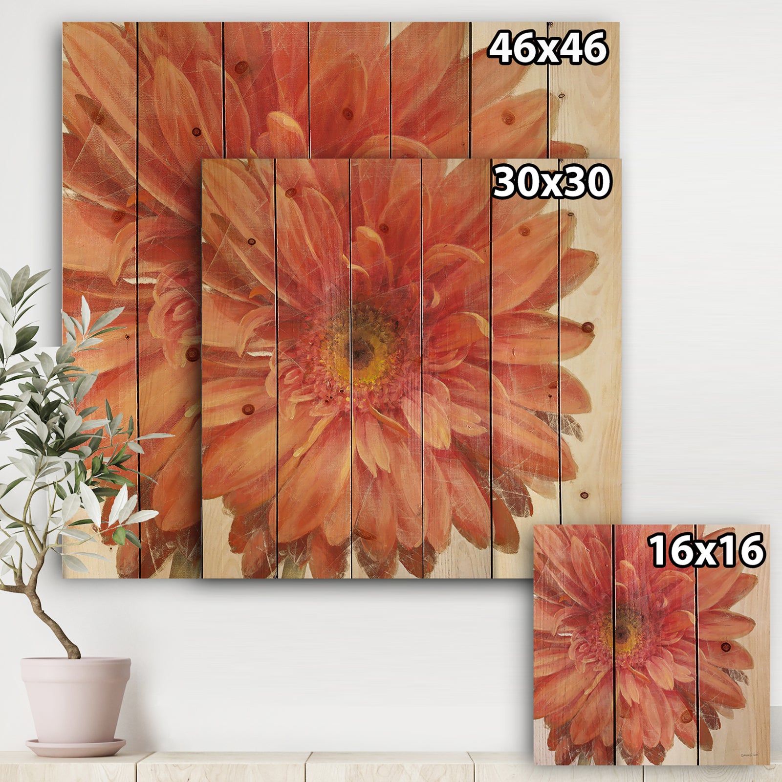 Vivid Red Daisy - Floral & Botanical Print on Natural Pine Wood