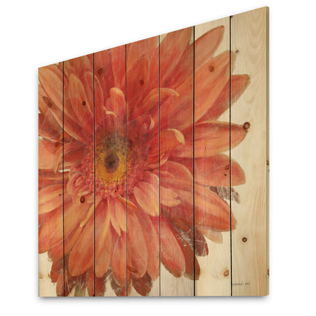 Vivid Red Daisy - Floral & Botanical Print on Natural Pine Wood