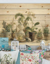 Greenhouse Orchids - Floral Cottage Print on Natural Pine Wood