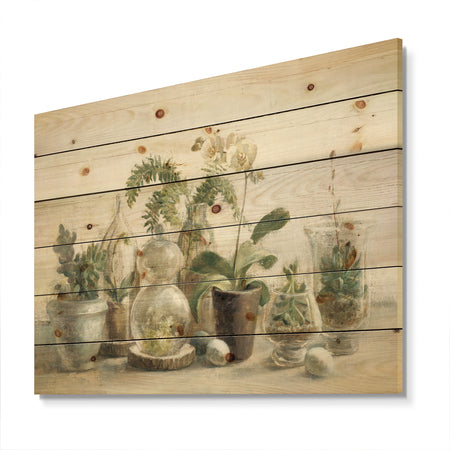 Greenhouse Orchids - Floral Cottage Print on Natural Pine Wood