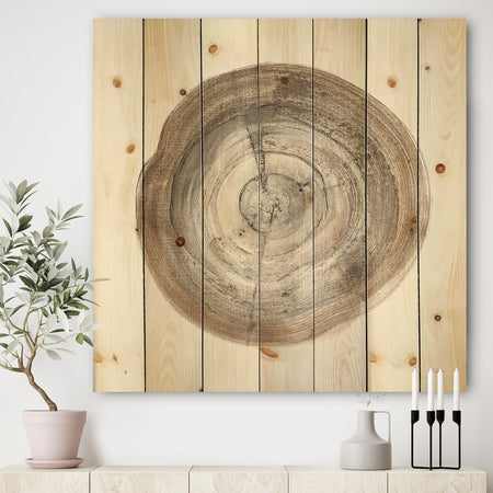 Circle natural elements I - Farmhouse Print on Natural Pine Wood