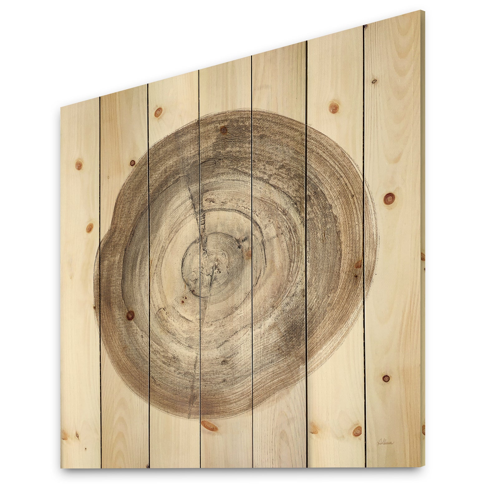 Circle natural elements I - Farmhouse Print on Natural Pine Wood