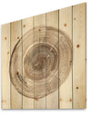 Circle natural elements II - Farmhouse Print on Natural Pine Wood