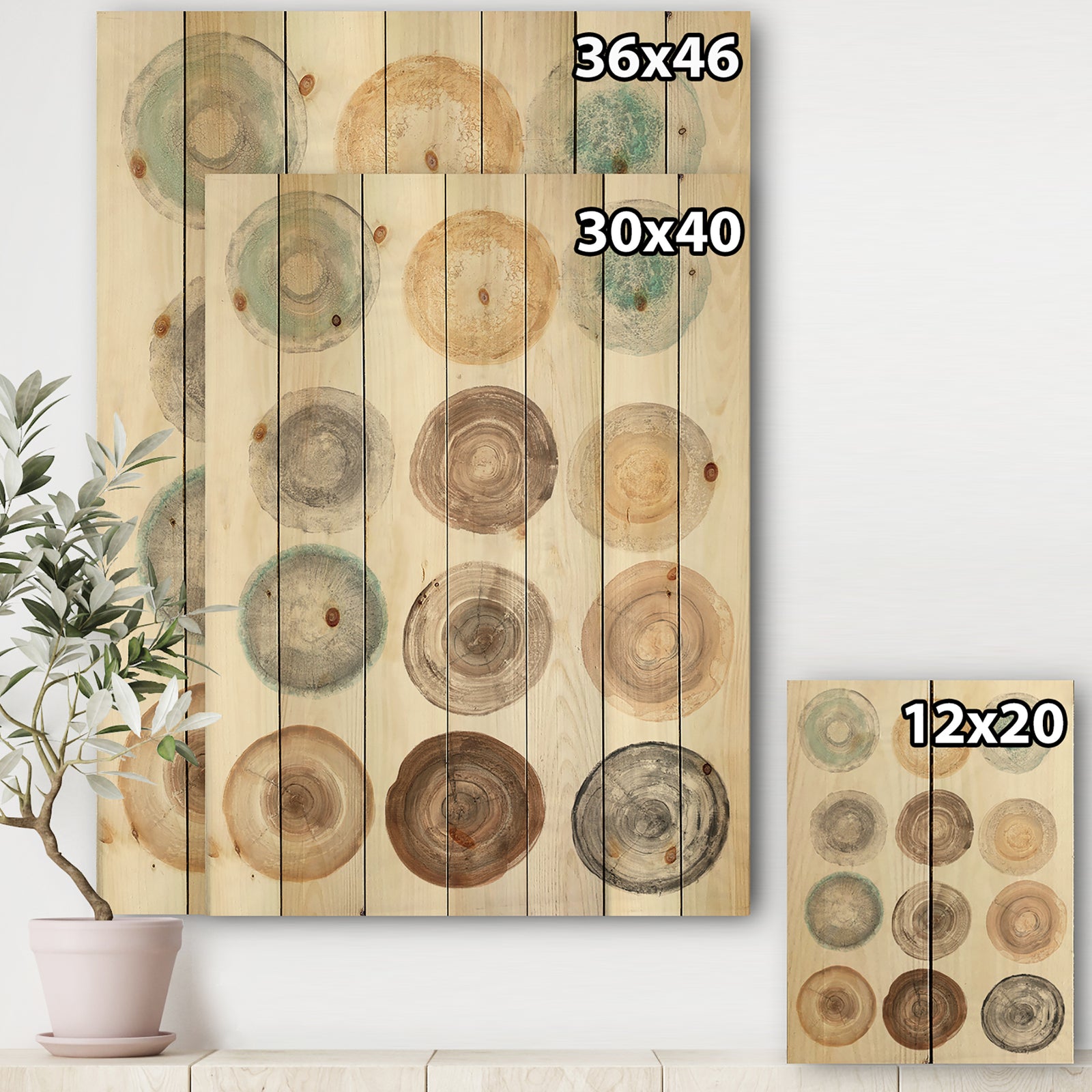 Geometric Cream Circles - Modern & Contemporary Print on Natural Pine Wood