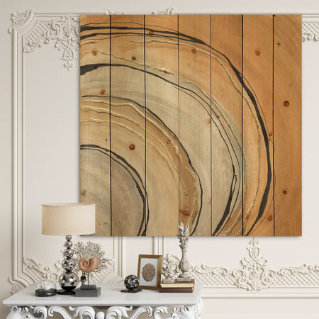 Glam Canion II - Modern & Contemporary Print on Natural Pine Wood