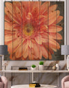 Vivid Orange Daisy II - Shabby Chic Print on Natural Pine Wood