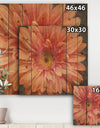 Vivid Orange Daisy II - Shabby Chic Print on Natural Pine Wood