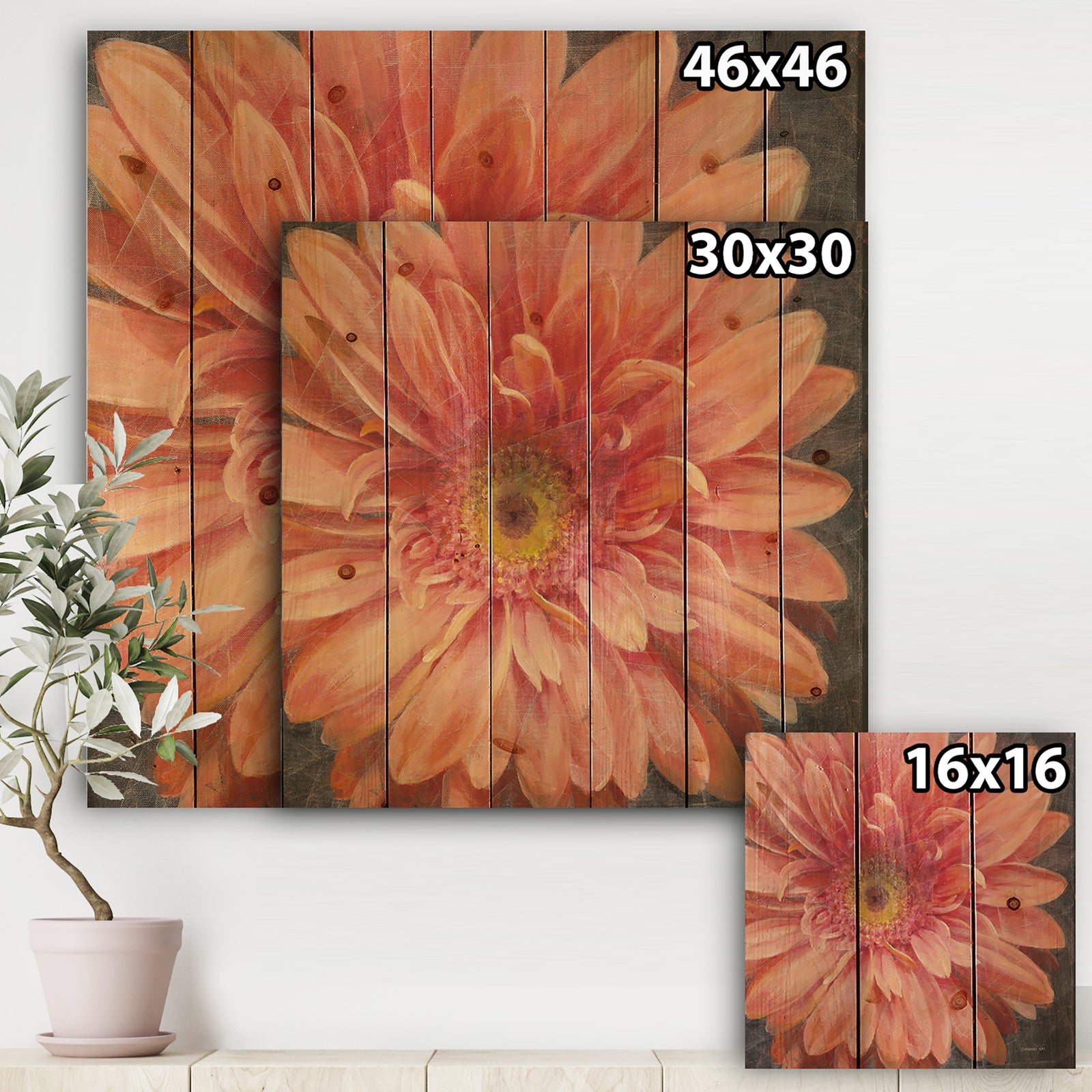 Vivid Orange Daisy II - Shabby Chic Print on Natural Pine Wood