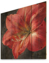 Vivid Red Lily III - Shabby Chic Print on Natural Pine Wood