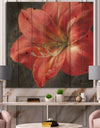 Vivid Red Lily III - Shabby Chic Print on Natural Pine Wood