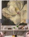 Vivid White Magnolia IV - Shabby Chic Print on Natural Pine Wood